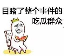 吃瓜群众免费素材,揭秘吃瓜群众免费素材背后的故事  第3张